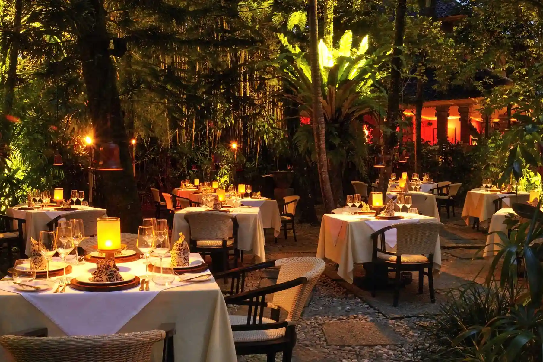 Dine By Design