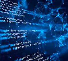 Website Design & Development in Windsor | Pro Web Solutions